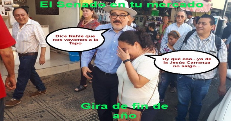 El Meme del Día … El Senado, llega a tu mercado