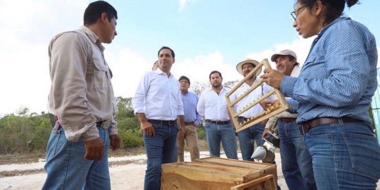 El 31 de diciembre el gobernador Vila Dosal encabezará un festival destinado para niñas y niños