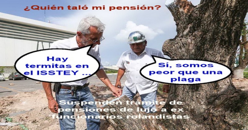 El Meme del Día … Quieren biberón y no les dan