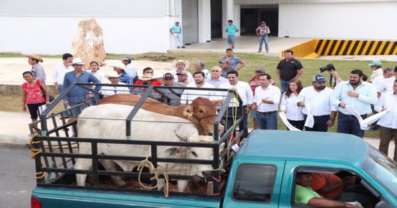 Mauricio Vila Dosal entrega apoyos de vivienda, salud y para el sector ganadero en el interior del Estado