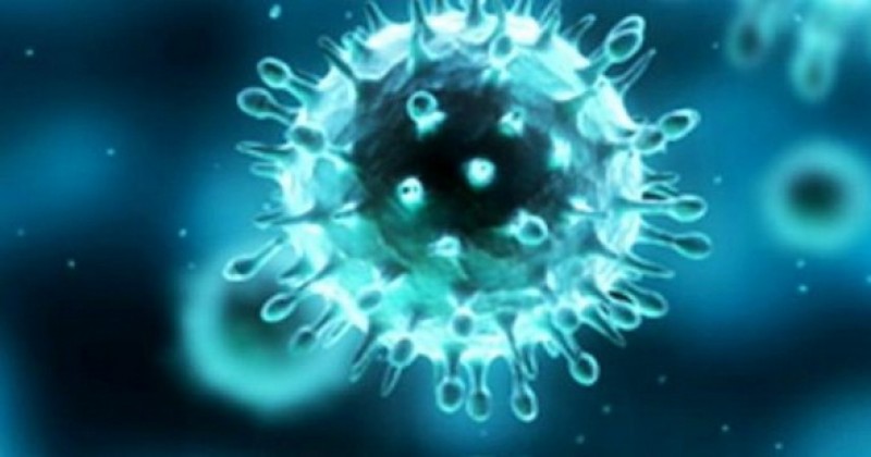 11 muertos en el país por la influenza A H1N1: dos más en Yucatán