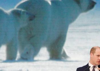 El príncipe William anuncia multimillonario premio en materia ambiental para resolver problemas de la crisis ecológica, dice