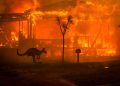 El ejército australiano combate los incendios que arrasan al país