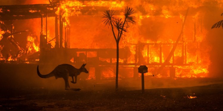 El ejército australiano combate los incendios que arrasan al país
