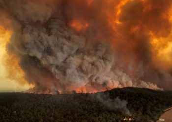 Incendios apocalípticos en Australia matan a millones de animales, arrasan bosques y casas: acusaciones al gobierno australiano por inepto