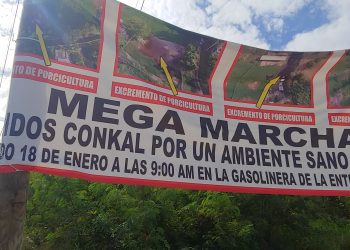 Vecinos de Conkal anuncian marcha contra granjas de cerdos por malos olores y contaminación