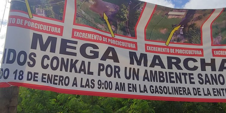 Vecinos de Conkal anuncian marcha contra granjas de cerdos por malos olores y contaminación