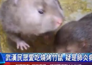 El gobierno federal publicó un Aviso Preventivo de Viaje a China por el nuevo coronavirus