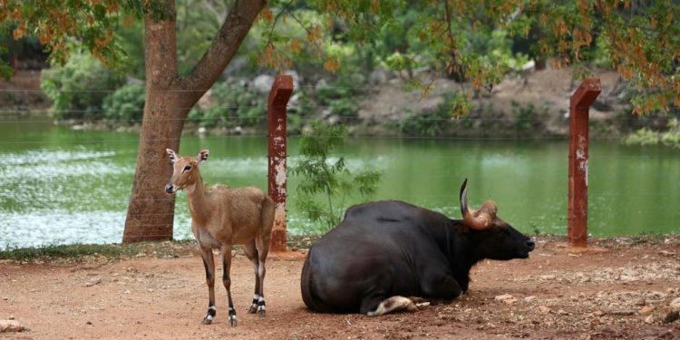 Guardias y servicios de atención municipales en el día inhábil