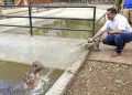 El parque del Centenario, estrenará hospital veterinario este año