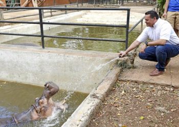 El parque del Centenario, estrenará hospital veterinario este año