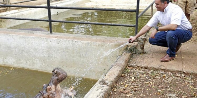 El parque del Centenario, estrenará hospital veterinario este año