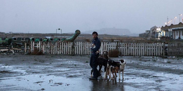 Yucatán recibe la 67 Muestra Internacional de Cine