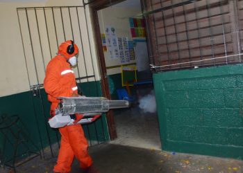 Continúa operativo contra mosco Aedes Aegypti de la SSY, pero el dengue sigue afectando a una persona cada ocho horas