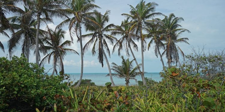 Comunidades participan en el 22º aniversario del Parque Nacional Isla Contoy