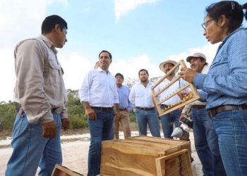 Gobierno del Estado realizó inversiones históricas en el sector agropecuario: en su mayoría, duplicaron o triplicaron los recursos destinados por administración estatal anterior, afirman