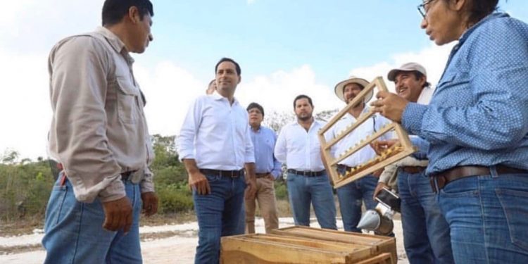 Gobierno del Estado realizó inversiones históricas en el sector agropecuario: en su mayoría, duplicaron o triplicaron los recursos destinados por administración estatal anterior, afirman