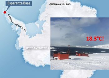 Crisis climática: En la Antártida registraron temperaturas récord: 18.3 grados