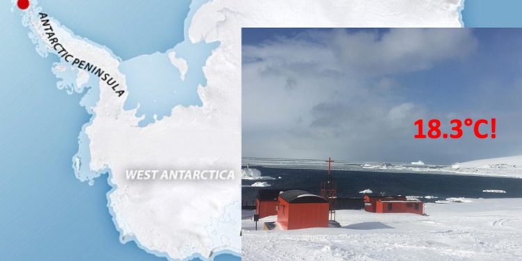 Crisis climática: En la Antártida registraron temperaturas récord: 18.3 grados
