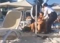 Detienen a dos turistas por estar sobre la arena, con metralletas y chalecos antibalas / La policía municipal de Laura Berinstain de Morena, los saca a la fuerza y esposados de club “Mamitas” en Playa del Carmen