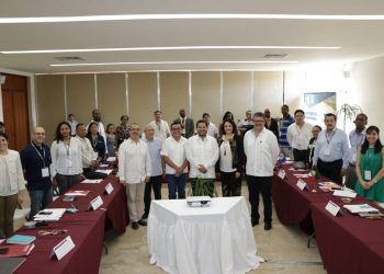 Apuesta Yucatán por la industria del coco