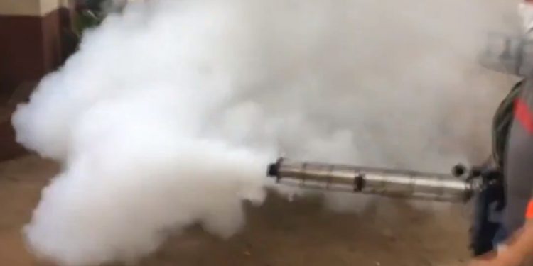 Hasta el momento, en la República Mexicana ya se notificaron 31 defunciones por probable dengue / Cinco se reportan en la Península de Yucatán