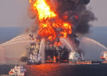 Cinvestav Mérida trabaja con bacterias “come-petróleo”, a una década del derrame en el Golfo de México