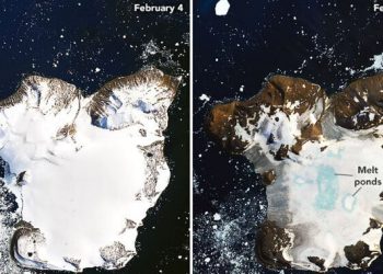 La NASA publicó imágenes que muestran un amplio derretimiento de nieve en la Antártida que confirma ulteriormente el calentamiento global