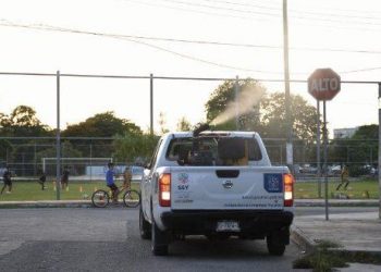 SSY realiza acciones de prevención contra el dengue, aseguran
