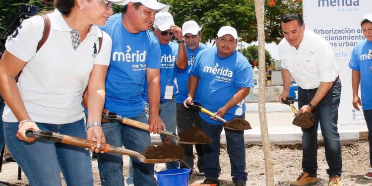 Mérida ingresa a una lista de 59 urbes del mundo que destacan por su compromiso con el arbolado urbano, según ONU y FAO dice la Comuna