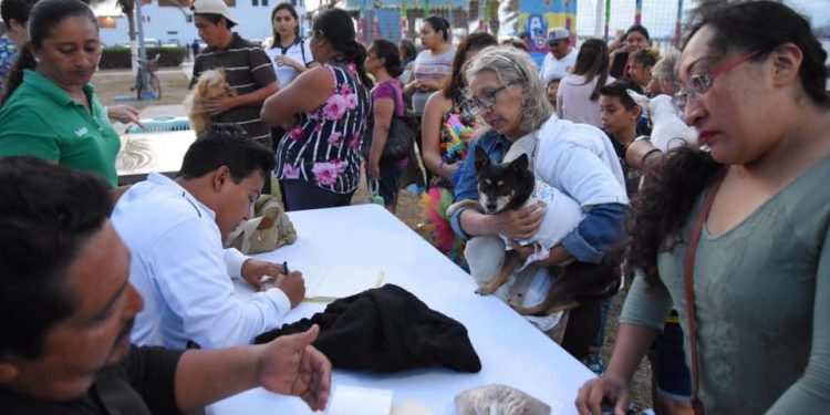 Cientos de familias asisten al primer “Festival Canino de Progreso”