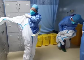 Humanos inmunes al coronavirus que padecen los perros, dicen