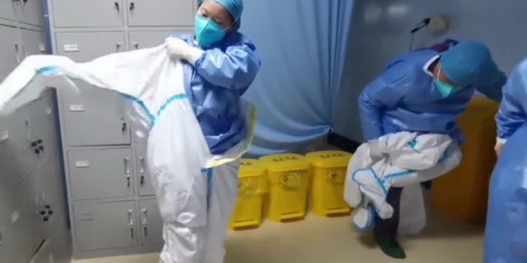 Humanos inmunes al coronavirus que padecen los perros, dicen