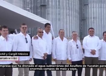 El actual jefe de la oficina de la Presidencia de México, Alfonso Romo Garza, fundó un megaproyecto en la Península de Yucatán, investigado por destruir y depredar el medio ambiente, el agua de la península, un cenote y fauna silvestre