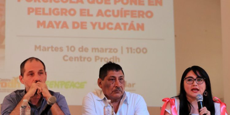 Suprema Corte atrae el caso de la megagranja porcícola en Homún, dicen