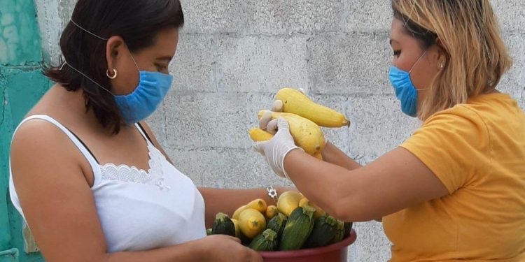 Obligatorio el uso de cubre bocas en Yucatán / Sólo se permitirá una persona por auto particular