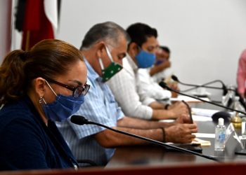 Diputados y Especialistas discuten Ley contra Adicciones y aprueban en comisión Ley de Edificios y Espacios Cardioprotegidos