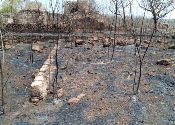 Ausencia de lluvias provoca aumento de sequía en la Península de Yucatán