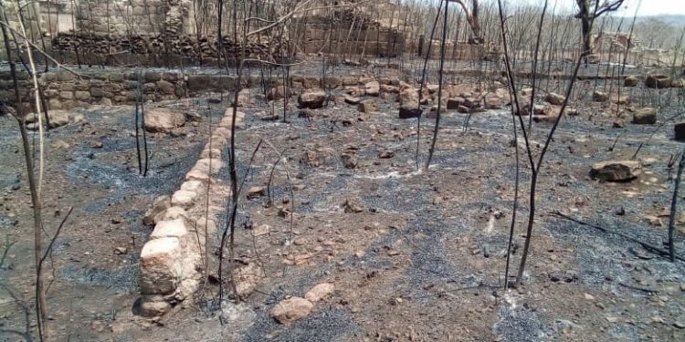 Ausencia de lluvias provoca aumento de sequía en la Península de Yucatán