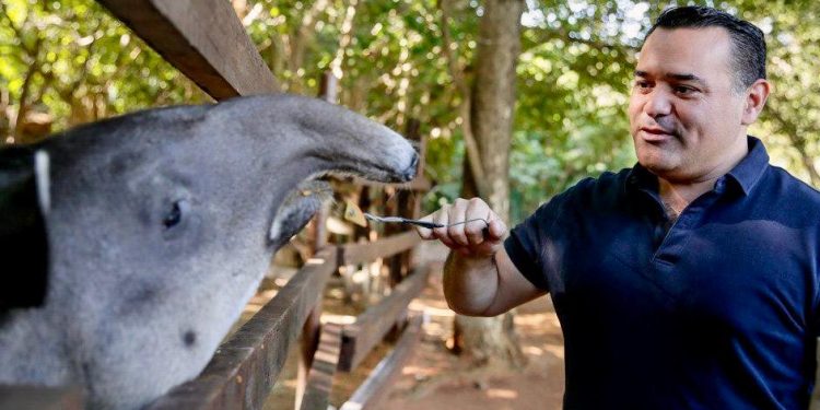 El parque Zoológico del Bicentenario Animaya cumple 10 años