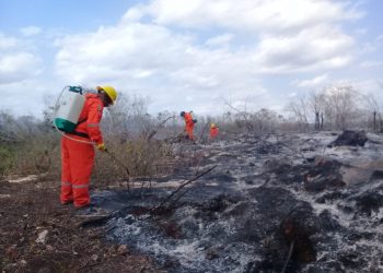 Coordinación, clave en combate a incendios, dice Protección Civil