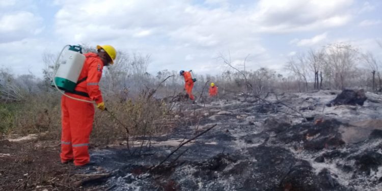 Coordinación, clave en combate a incendios, dice Protección Civil