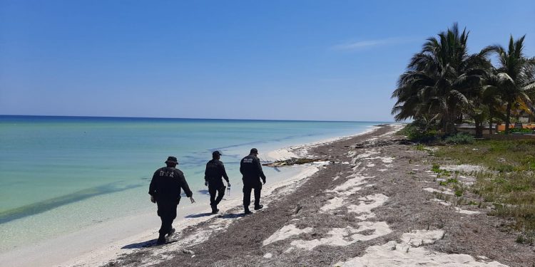 Cerca de 3 mil hospitalizados por violencia familiar, durante cuarentena por COVID-19