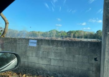 El Grupo Gema del Mayab hace una denuncia pública contra quienes sean responsables de la devastación que se está dando en frente de la entrada del parque Kabah, Cancún, en un terreno que colinda con el Colegio Leonardo da Vinci