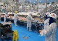 Kekén intensifica protocolos de prevención por el COVID-19 para garantizar abasto de alimento en Yucatán y el país, afirman
