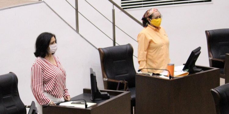 Urge que Congreso tenga un plan de trabajo ante la contingencia