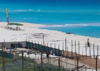 Alto a la construcción del Hotel Solaris en el Mirador Cancún, exige petición en Change.org: nos roba la vista panorámica, afirman / Solicitan al presidente AMLO expropiación de predios colindantes con Playa Delfines