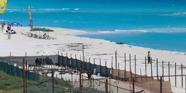 Alto a la construcción del Hotel Solaris en el Mirador Cancún, exige petición en Change.org: nos roba la vista panorámica, afirman / Solicitan al presidente AMLO expropiación de predios colindantes con Playa Delfines