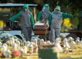 Brasil registró un número récord de nuevos casos de COVID-19 en las últimas 24 horas / Se convierte en el segundo país del mundo con más contagiados después de Estados Unidos