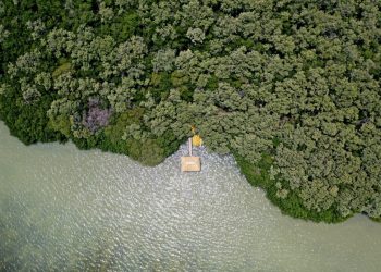Cooperativas de Campeche y Yucatán, solidarias ante las consecuencias del COVID 19: Implementan trueque, intercambiando productos del mar por productos de milpas y solares